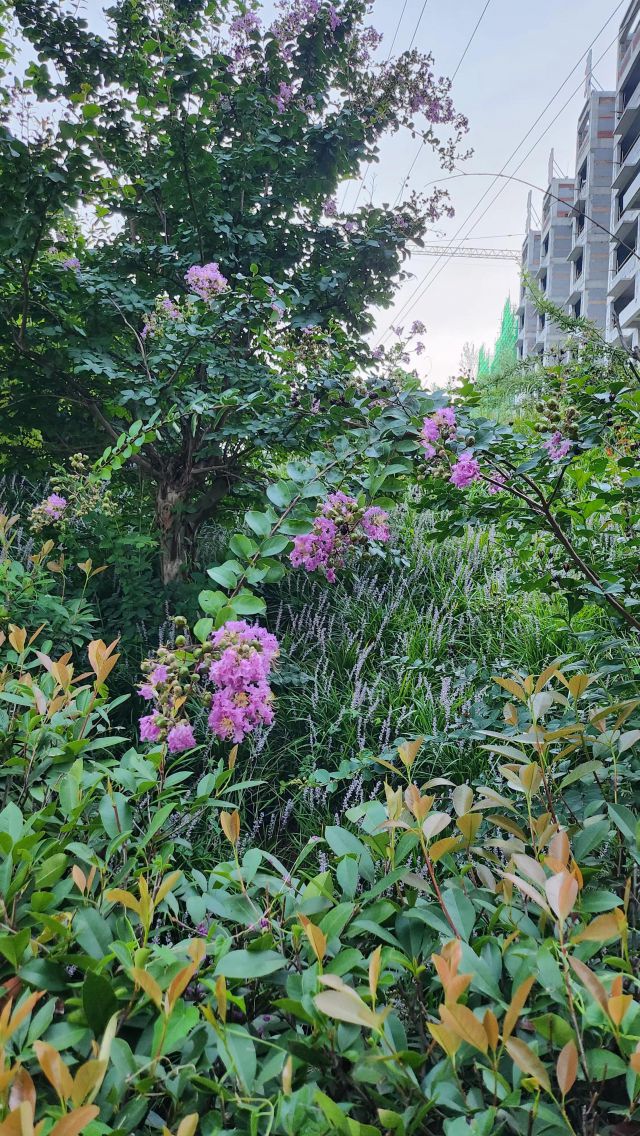 风景-图片来源编辑网