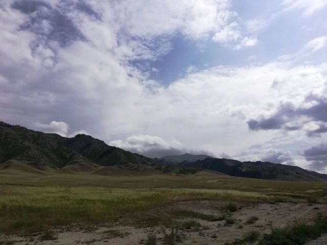 新疆温泉县国家湿地公园-图片来源编辑网