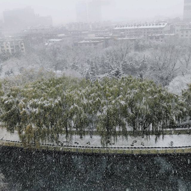 下雪的公园-图片来源编辑网