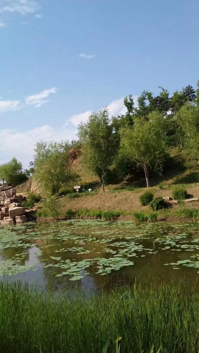 公园-图片来源编辑网