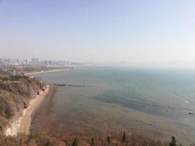 大海和沙滩-图片来源编辑网