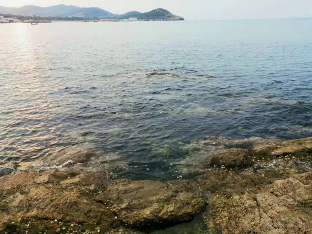 大海-图片来源编辑网
