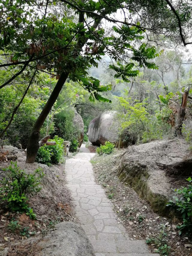 厦门植物园一游-图片来源编辑网