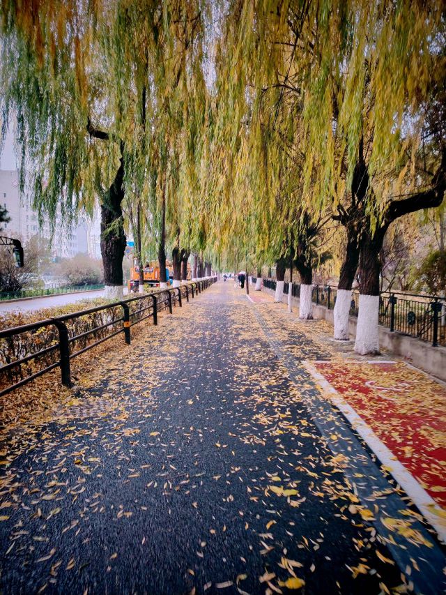 公园-图片来源编辑网