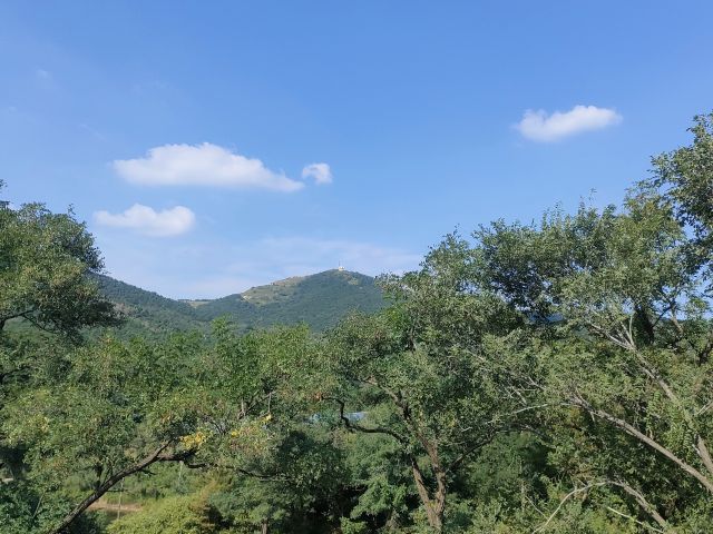 -图片来源编辑网